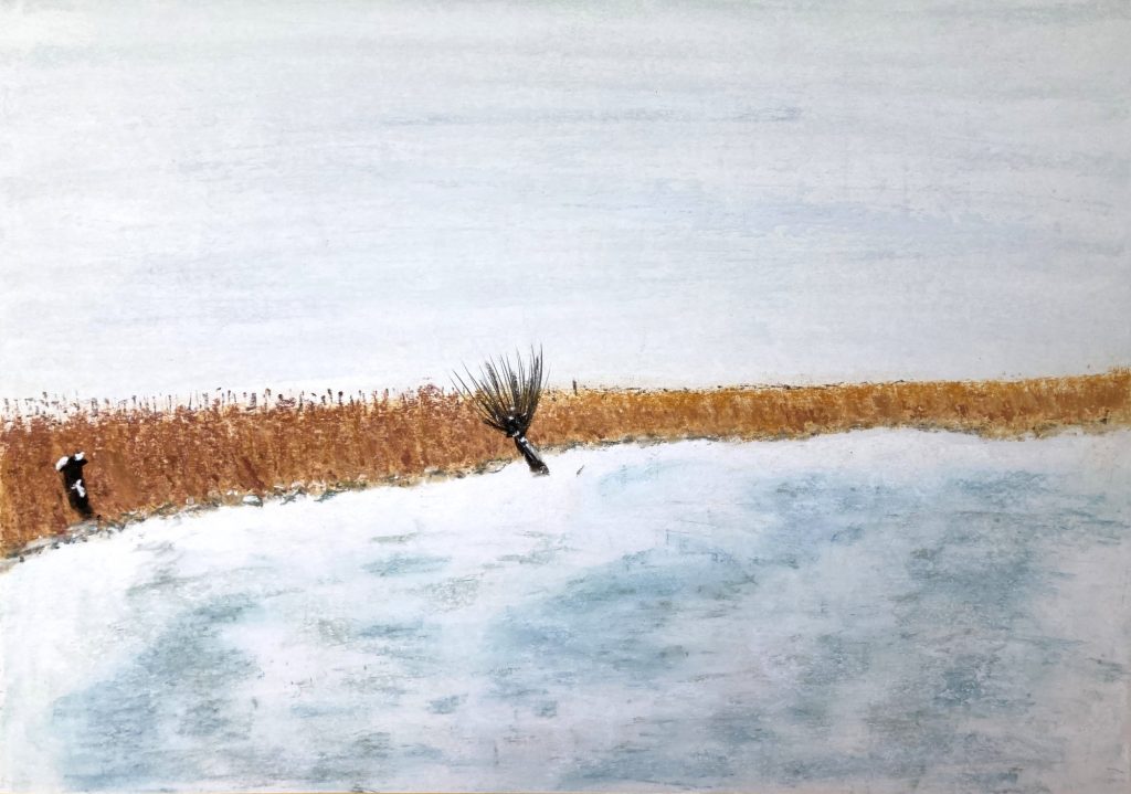 o.T. (Ahrenshop Winter) Pastellkreide auf Papier 42 x 59,4 cm © 2025