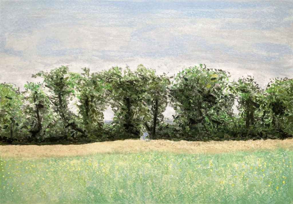 o.T. (Bernried) Pastellkreide auf Papier 42 x 59,4 cm © 2025