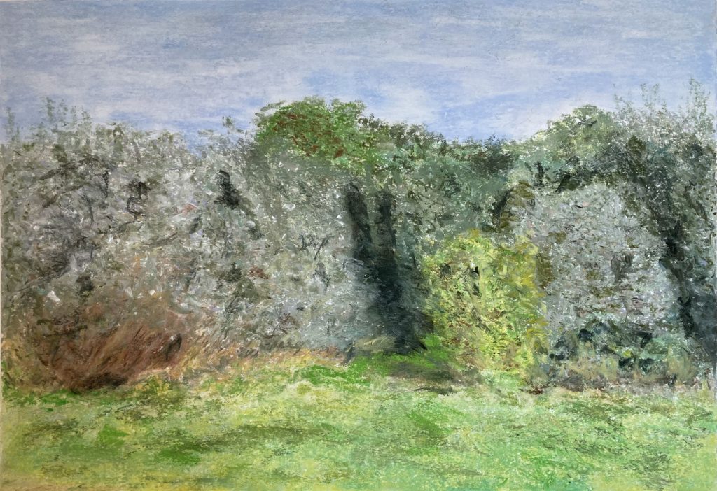 o.T. (Böhmen) © Pastellkreide auf Papier 42 x 59,4 cm © 2025