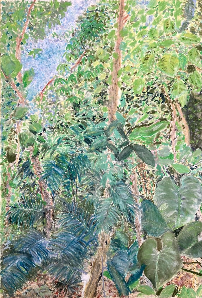 o.T. (Botanischer Garten) Pastellkreide auf Papier 59,4 x 42 cm © 2025