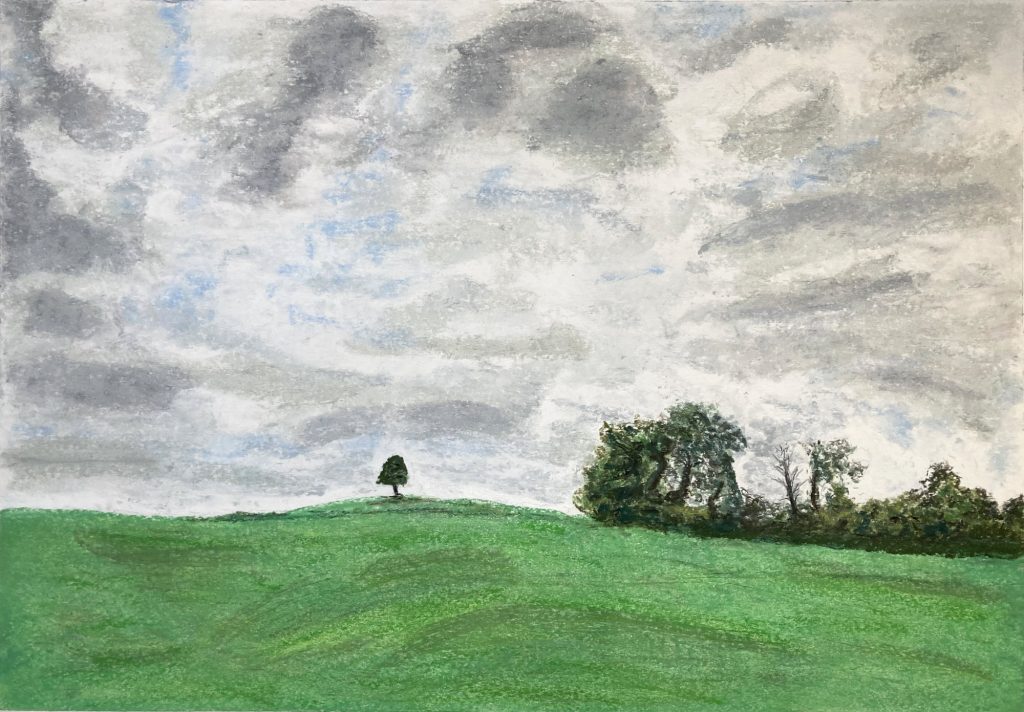 o.T. (Eiche) Pastellkreide auf Papier, ca. 39 x 57 cm (59,4 x 42 cm) © 2025