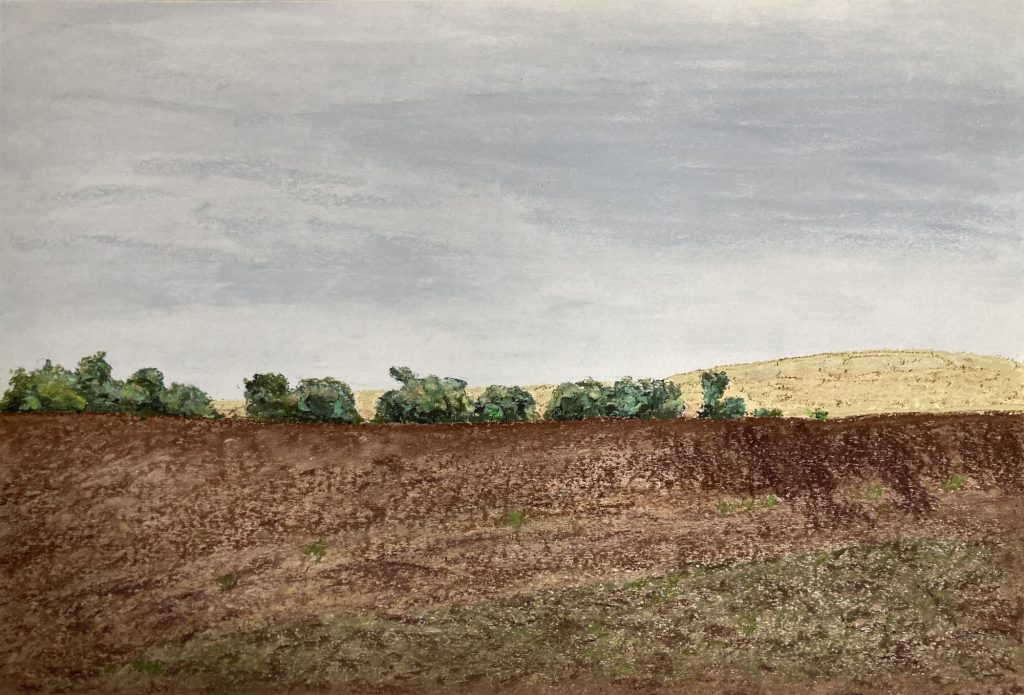 o.T. (Oderbruch) Pastellkreide auf Papier 42 x 59,4 cm © 2025