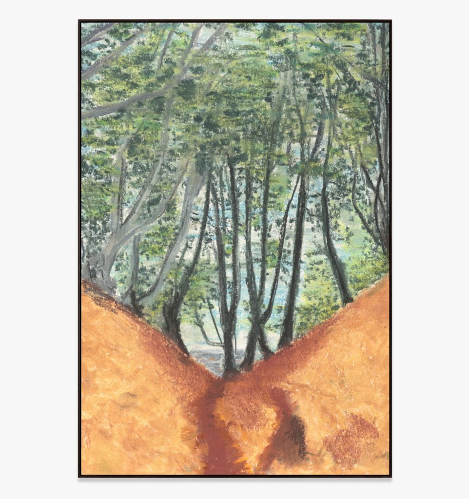 o.T. (Märchenwald, Rügen) Pastellkreide auf Papier 42 x 29,7 cm © 2024