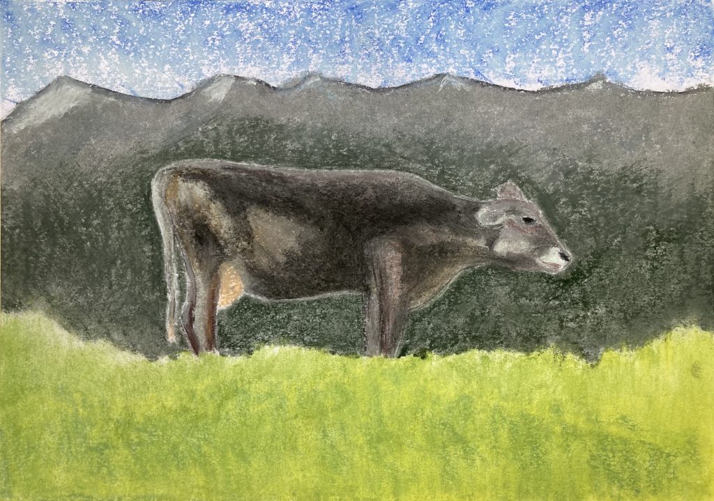 Rindvieh, Pastellkreide auf Papier, 29,7 x 42 cm © 2025
