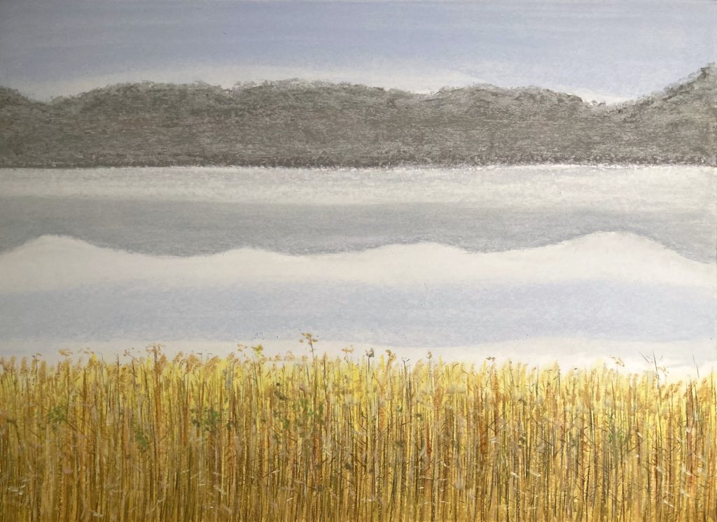o.T. (Schermützelsee) Pastellkreide auf Papier 42 x 59,4 cm © 2025