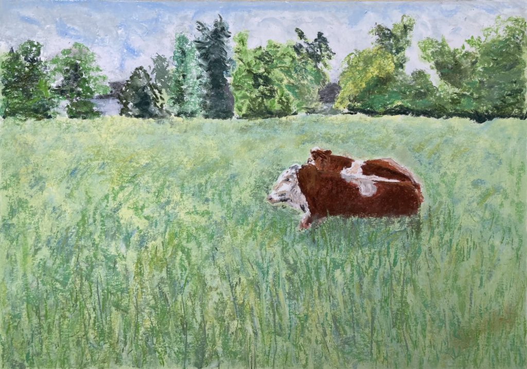 o.T. (Sommerweide) Pastellkreide auf Papier 42 x 59,4 cm © 2025