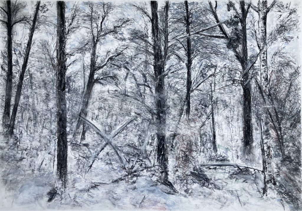 o.T. (Winter) Pastellkreide auf Papier, ca. 39 x 57 cm (42 x 59,4 cm) © 2026
