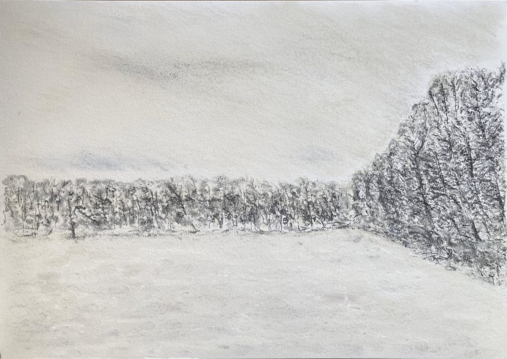 o.T. (Winter in der Lausitz) Pastellkreide auf Papier, 34,0 x 47,5 cm © 2026