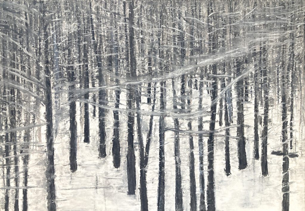 o.T. (Winter) Pastellkreide auf Papier 30 x 42 cm © 2025